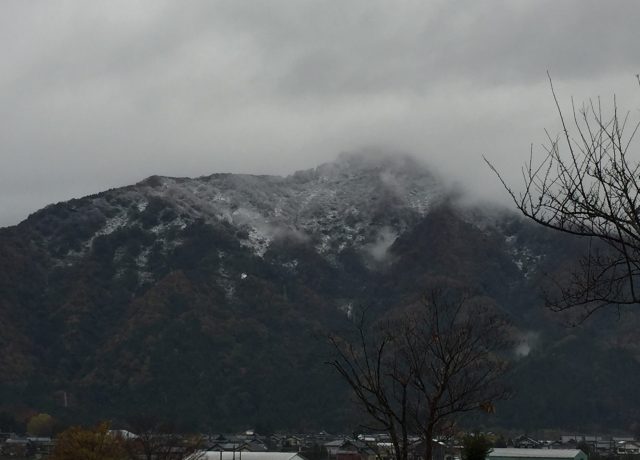 とうとう雪が・・・