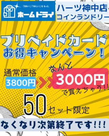 お急ぎください！５０セット限定！なくなり次第終了です！
