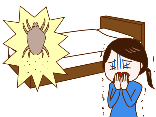 その布団、ダニだらけかも？押入れスッキリ＆布団はふかふか！最長9ヶ月の保管付き「ふとん宅配クリーニング」が便利すぎる件